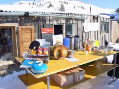 image resize 236w raguta 12a