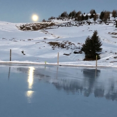 99d6db99-9118-4762-9d17-679b29c31349