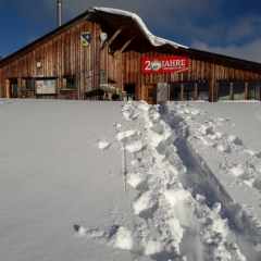 d64235bf-1206-4d95-a028-54cf5843ffe5