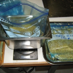 malunsen februar 2013 032