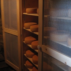 raguta k  sekasten 038