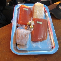 raguta pro memoria dez 2011 040